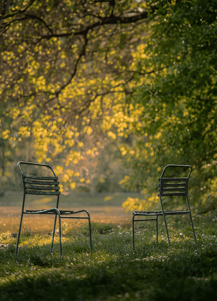 two chairs underneath autumn trees