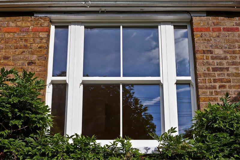 Untitled design - 2024-06-13T192712.647