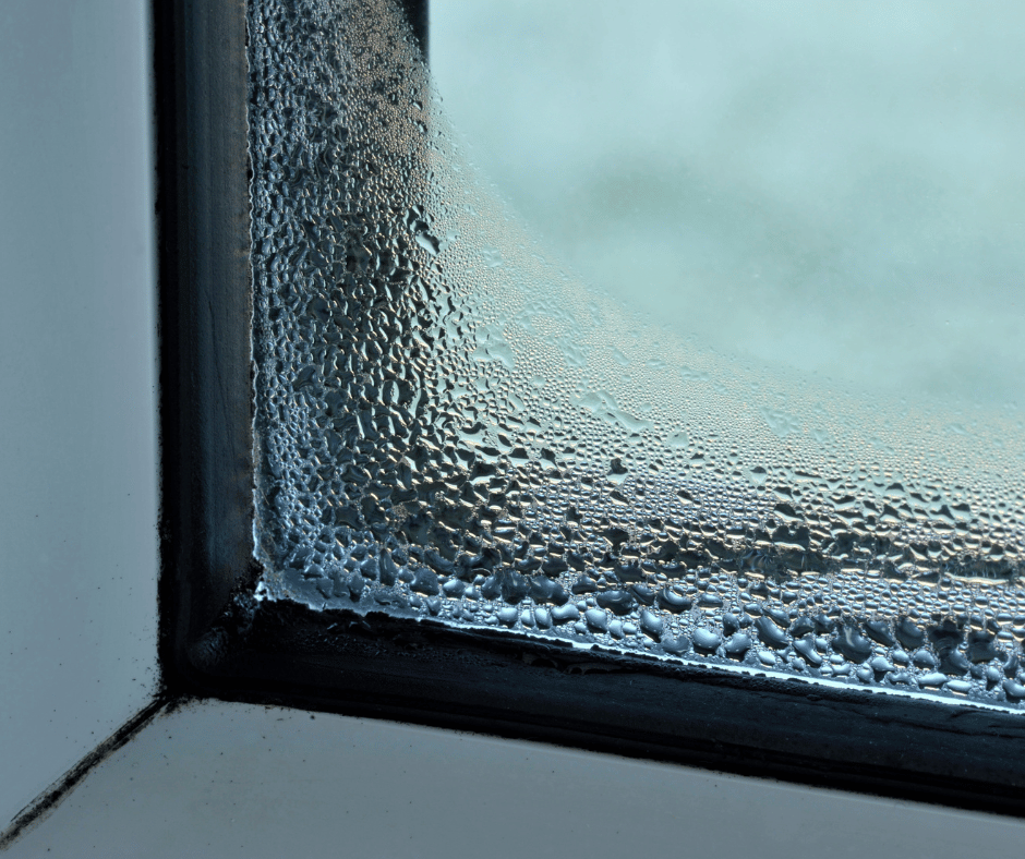 condensation on windows